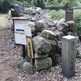 俵坂峠籠立場。車道の俵坂峠は歩かない。写真を上方向へ進む所を右へ進んでしまった