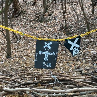 直進して矢筈ヶ岳へ