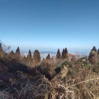眺めが今ひとつなのが残念
でも、ここで満足したら皿倉山まで足を伸ばす頻度はかなり下がるでしょう
人多いところ嫌いだし