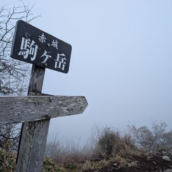 駒ヶ岳に到着😂💦ガスガス😓