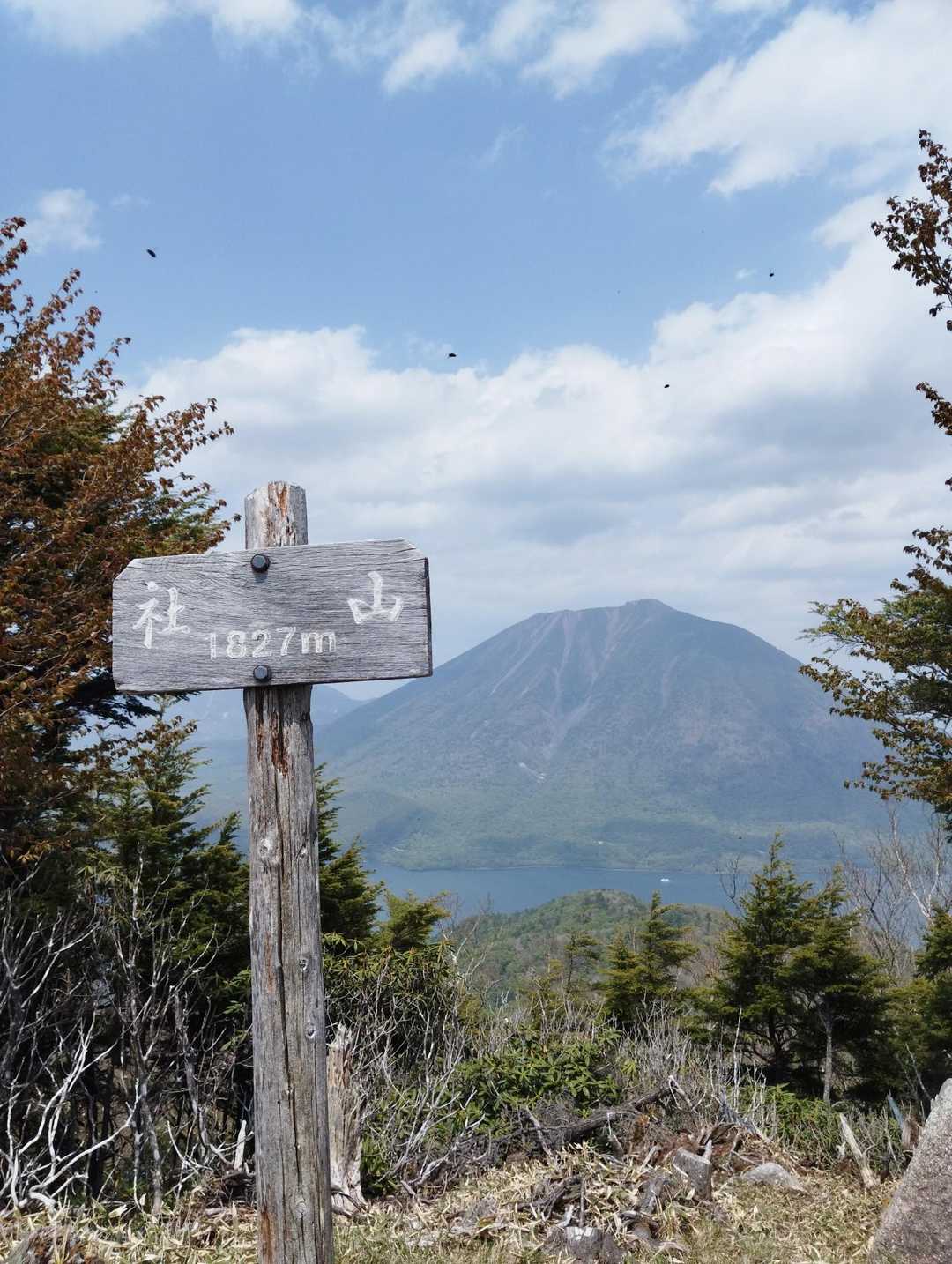 社山 / kuramanの登山データ | YAMAP / ヤマップ