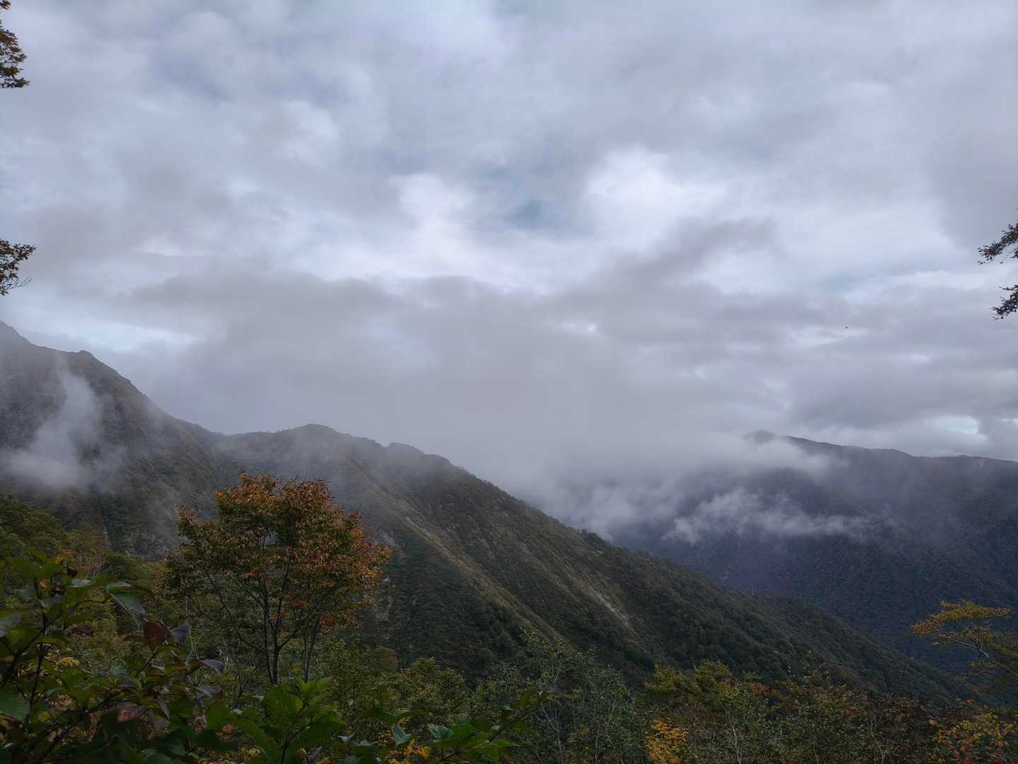 白☁は要らないから…