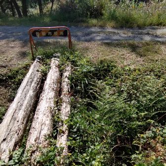 急登コースの出口
ちっちゃな沢の橋
駐車場の脇辺りにでます
出口は塞がれている…🤔
