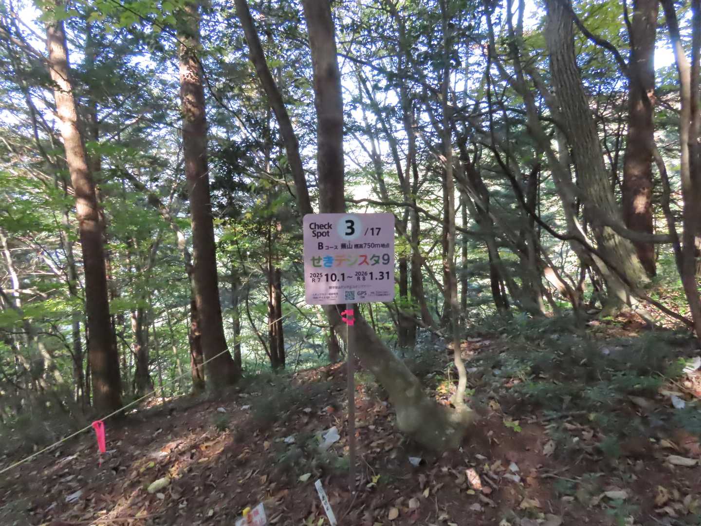 デジスタ９ 3/17
標高750ｍ
なぜか４ポイントです