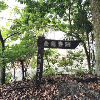 無事に緑水会病院裏手に下りて来ました😌