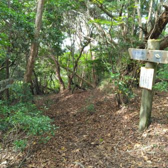 分岐で、ばったりダンディなオジ様と出会ってしまった🤍