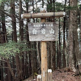 この登り返しは結構キツかった。