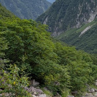 モタモタしてずいぶんとスタート遅れました。下山です。