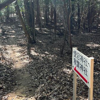 なんか聞いた事ある神社の名前⛩️