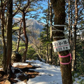 割谷の頭山頂