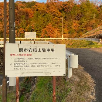 関市安桜山駐車場に戻ってきました。

今日は、思い出に浸りながら安桜山⛰️周辺も歩いてみました😊