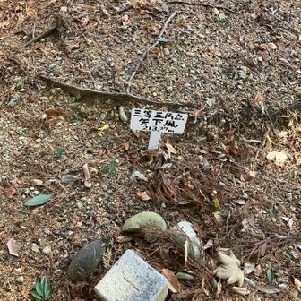 ここがアサヒ山頂上かな？