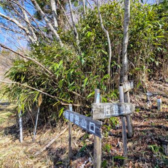 洞窟登山口へ向かう(直進)🚶💨