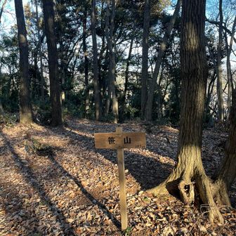 14座目　笹山
ここから下って仕舞えば下山できるのに
西山高取まで登り返してヘロヘロ
