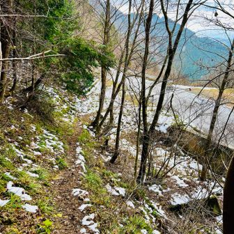 【トンネル登山口】
ここでお終い🔚