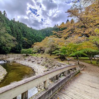 あきつの小野公園を進みます🚶