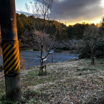 この時間はまだ車も少ない