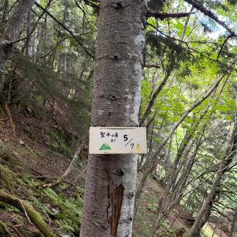 所々に…見る度まだ？