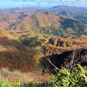 見下ろすと綺麗
