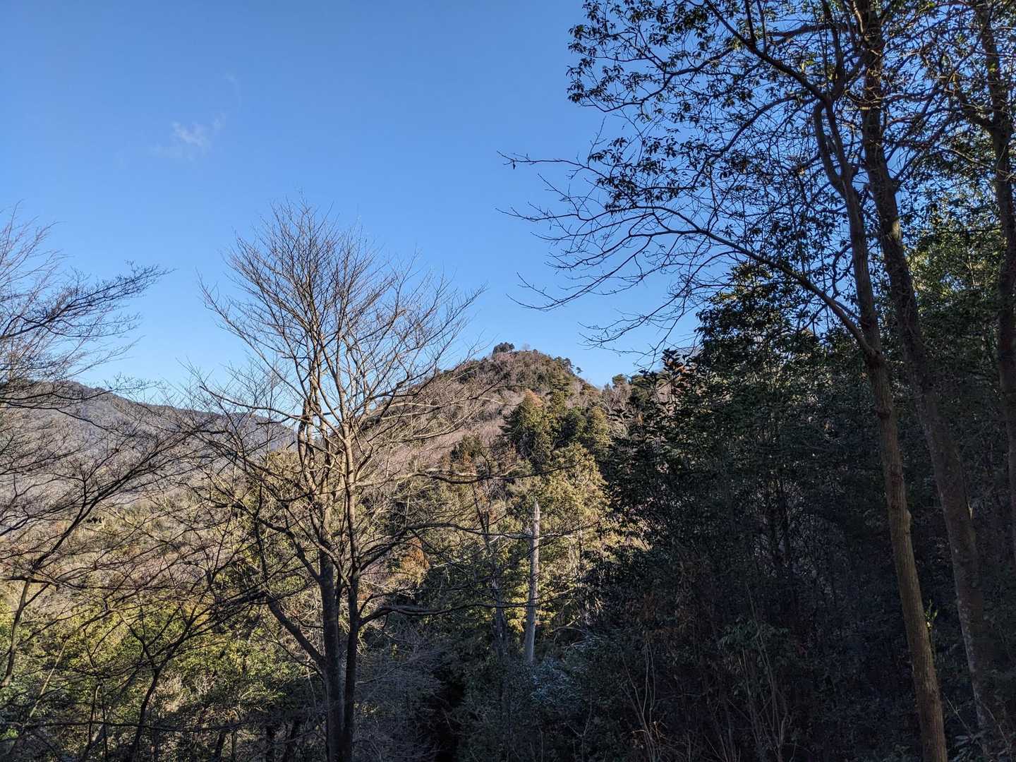 お、山頂見えた！