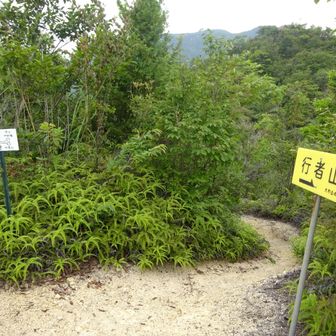分岐
玖波槍へ