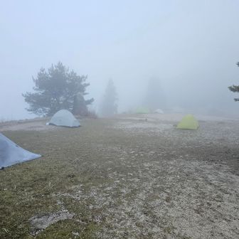 翌日、晴れの天気予報に反してガスの中でした。ツェルトは一晩、風に耐えてくれました。
不思議なんですが、夜中２時に目覚めたときにはすでにガスが濃く、そうするとツェルトの中も外も暗闇ではなく、ほんのり明るいんですよ。満月の３日後だから、月あかりかな。
