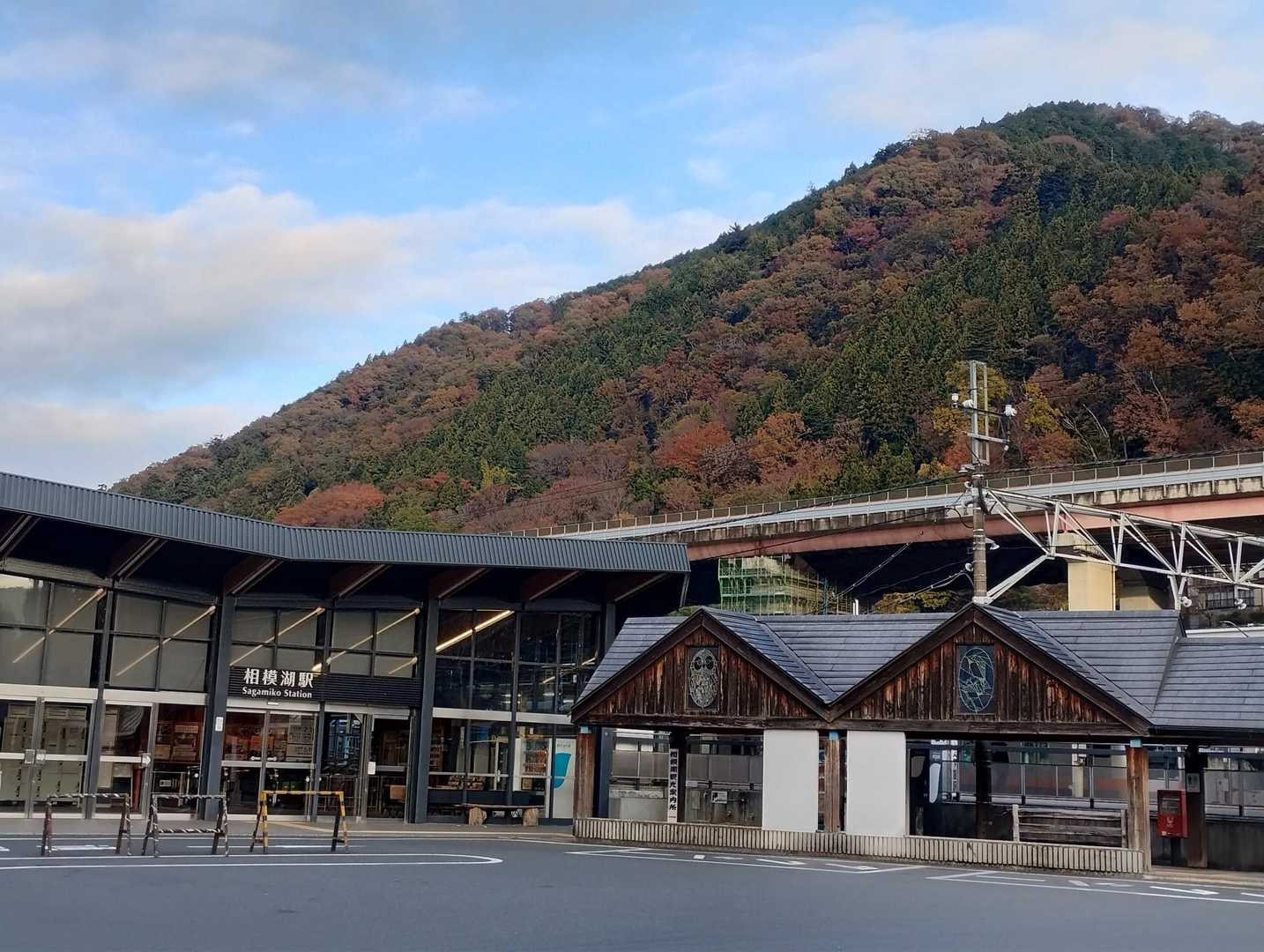 🍁駅裏手の山も紅葉してます