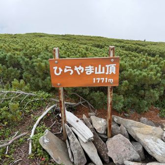 あっさり登頂できたのは嬉しいのですが、周りが段々白くなってきました。お願いだから晴れて🙏