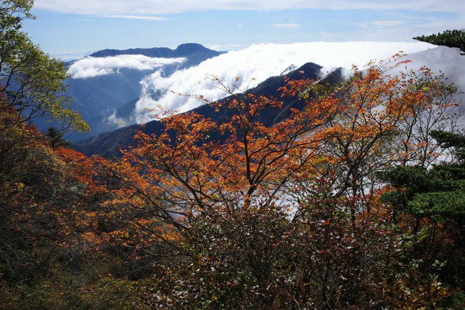 吉野川源流の碑-西黒森 往復コースの写真