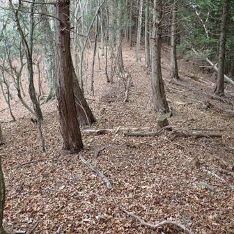 少し下って登り返すと・・