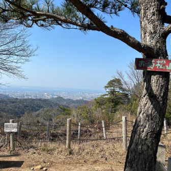 お菊山山頂⛰️
関西空港が見えます