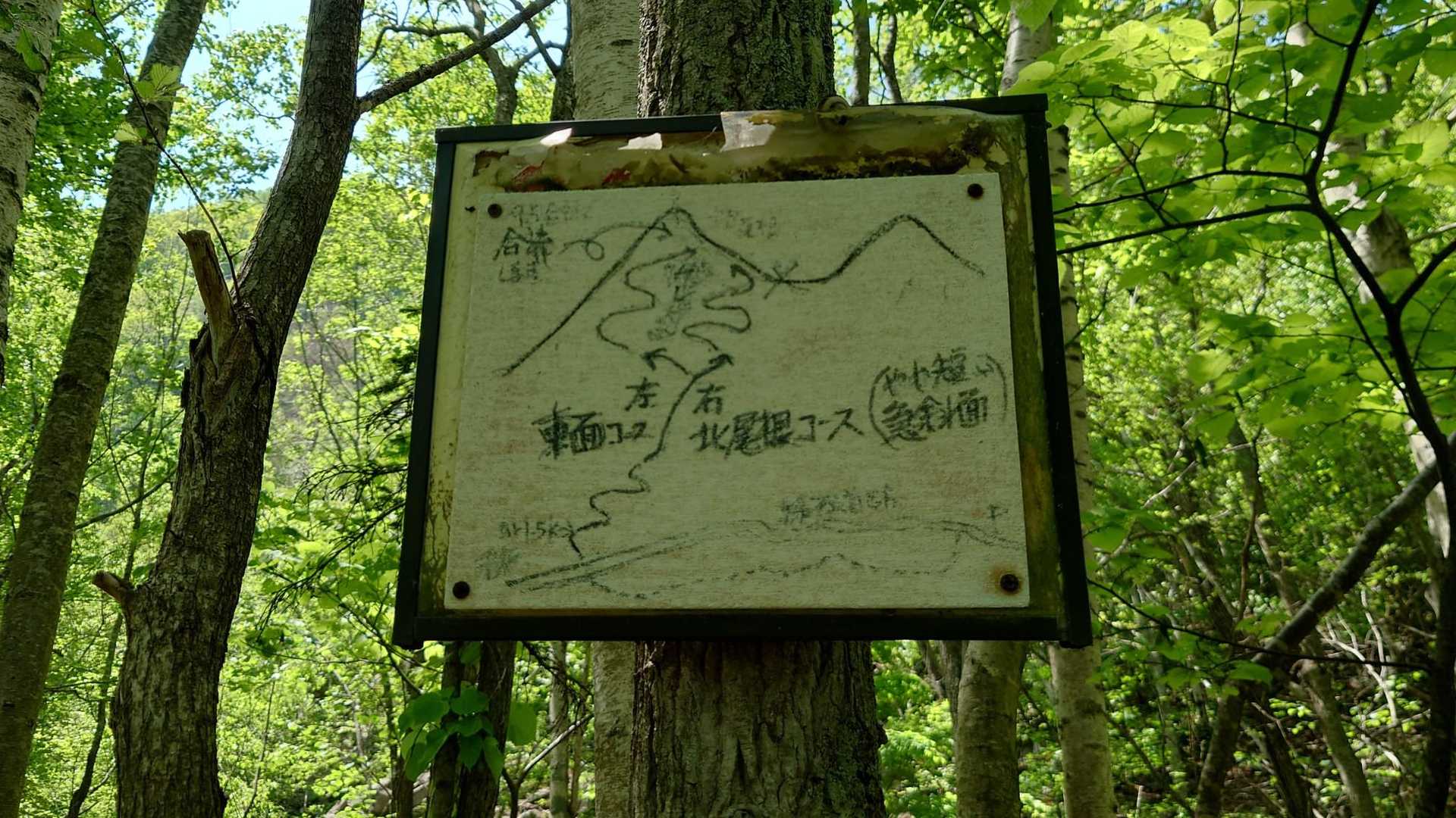 やや短い急斜面…
北尾根コース行ってみよ！