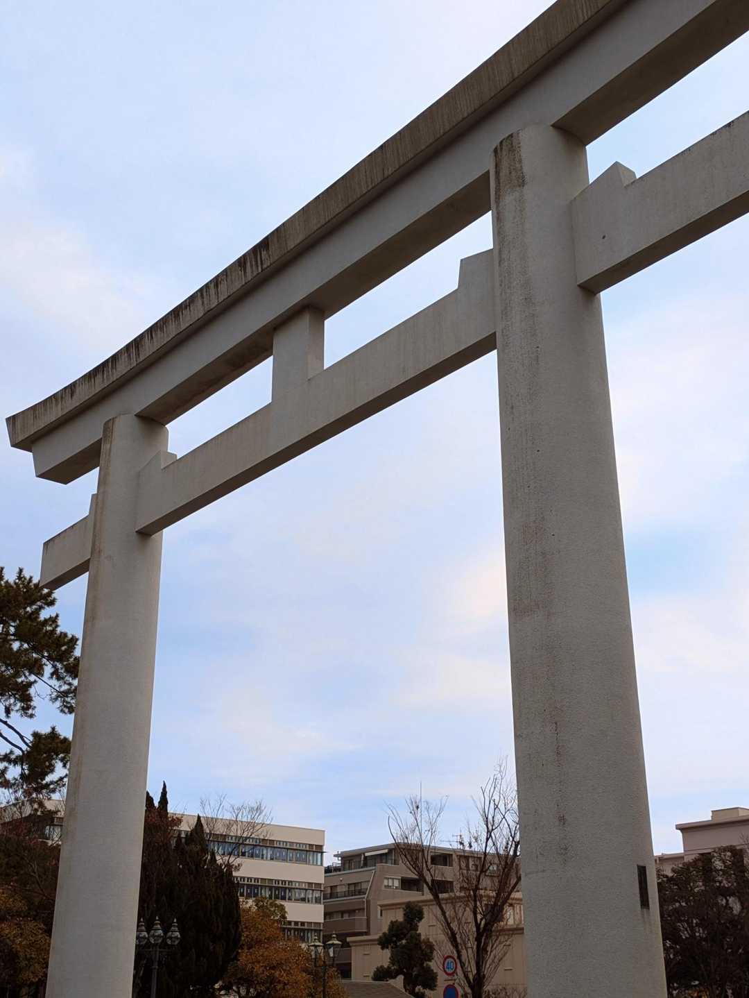 いつ見ても大きな鳥居です！高さ19.8Mだそうです。