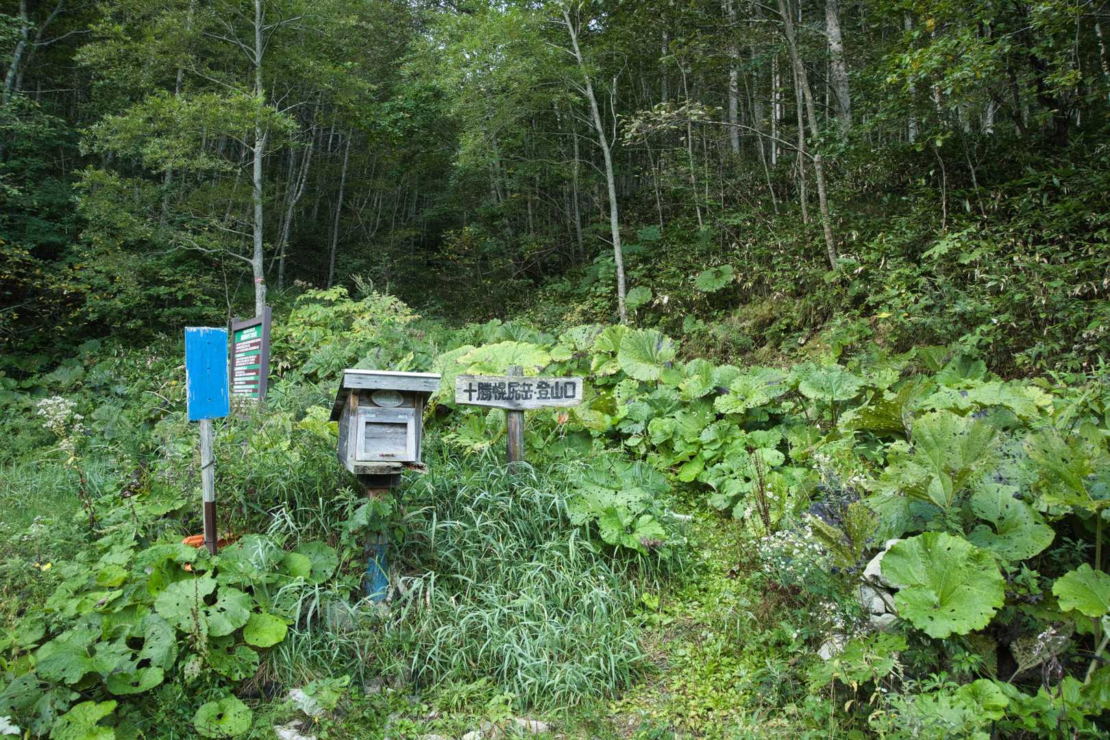 車中泊で気合十分のはずが、山替えのドタバタでスタートは6時過ぎに😅