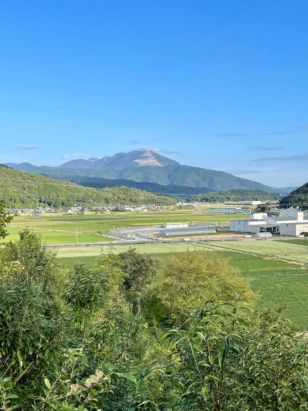 この辺りの山では群を抜いて迫力がある伊吹山⛰️
