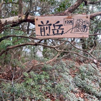 ここまで急登で崖。ほっとする。