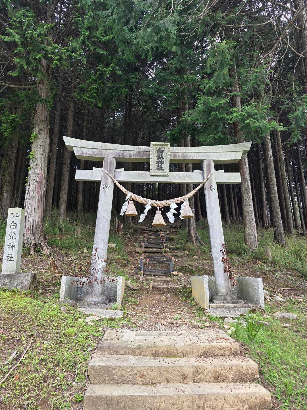 白髭神社⛩️
何かかっこいい