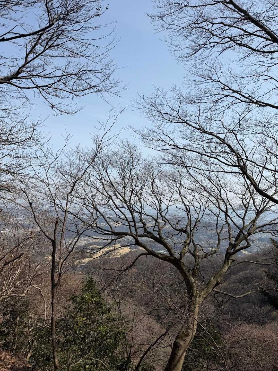 木の向こう
景色よい〜