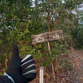 ⑪西山
㊗️金華山GT11座目達成です🎉👍