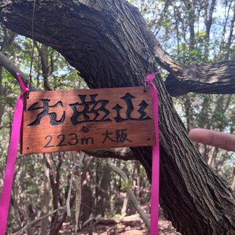 11座目
曲がっとる！！