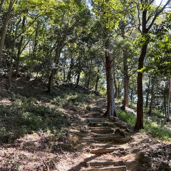 登ります。