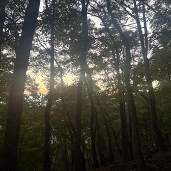 夕暮れ近づく