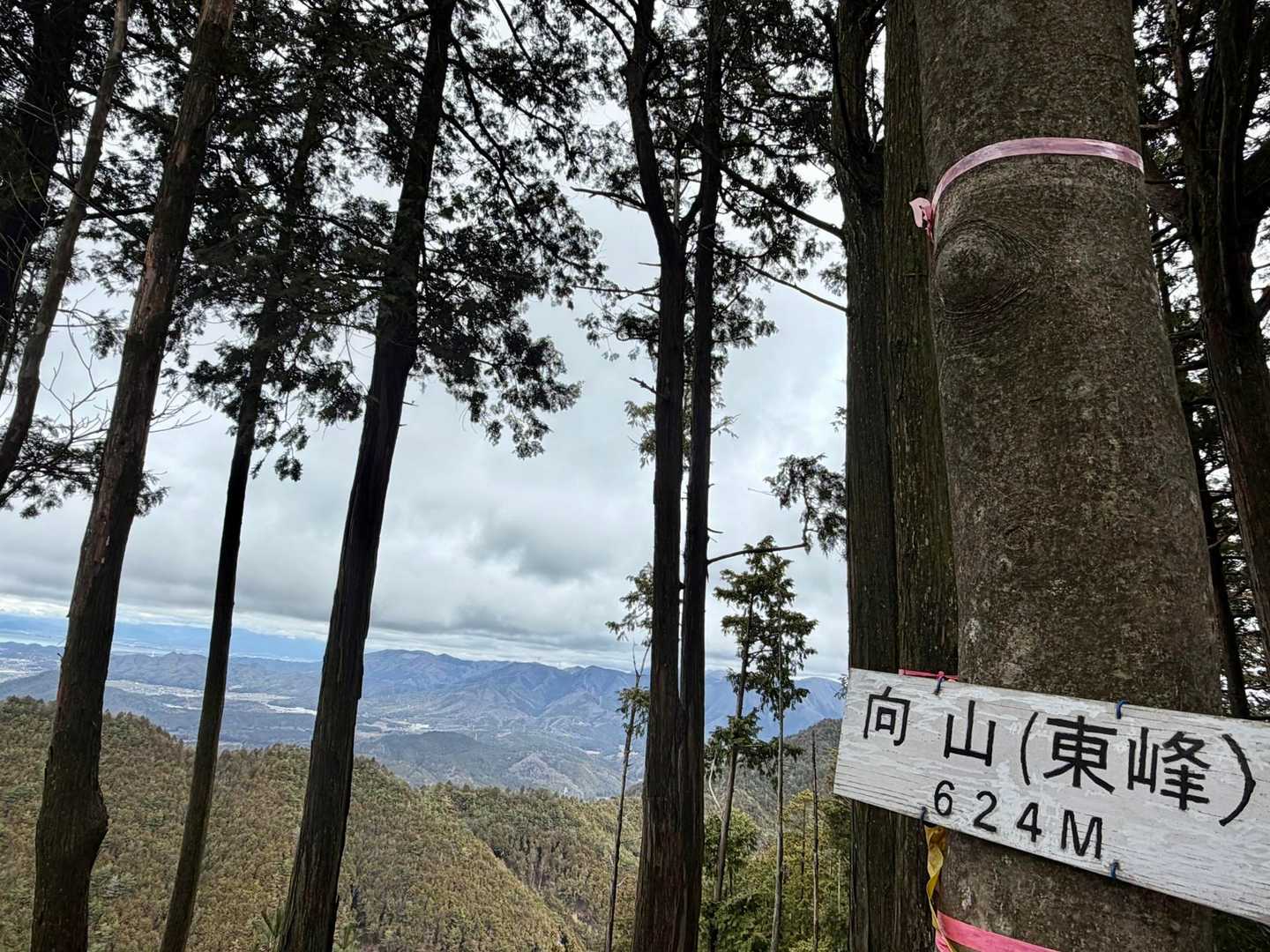 高取山 周回コースの写真