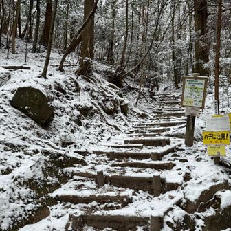 王道ルートで開始〜