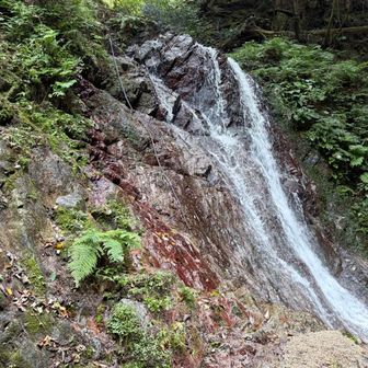 また結構高さのある滝が出てきた
ここはいけるかも？