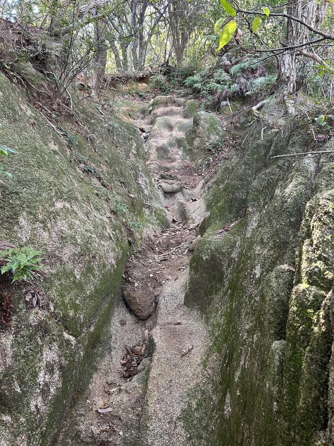 梅林登山口-片江山 往復コースの写真