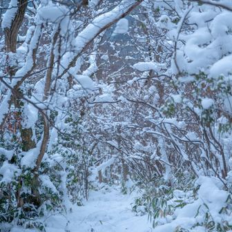 山頂までもう少し。