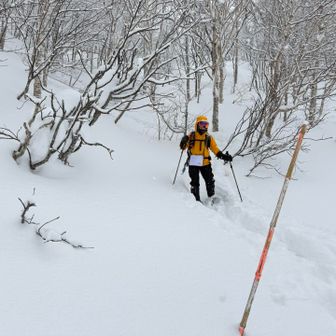 夏道の登山口まで戻りました。