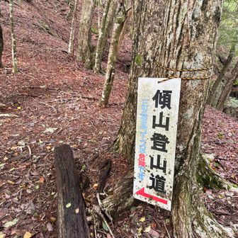 「三ッ坊主コースは危険です」
