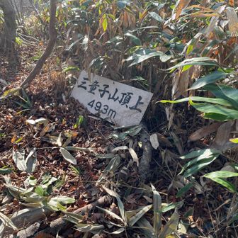 三童子・鞍掛スカイラインからちょいと脇道それて三童子山頂着、これ見るまで三角点のところが山頂だと思ってた。